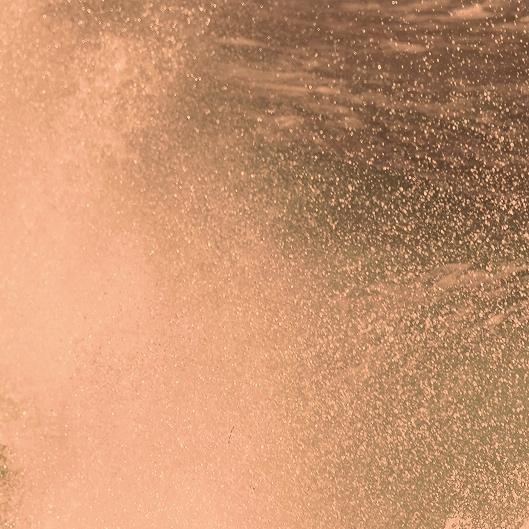 Black Friday Health Coaching